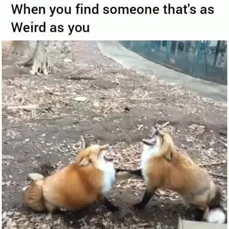 Finding Someone Just as Weird