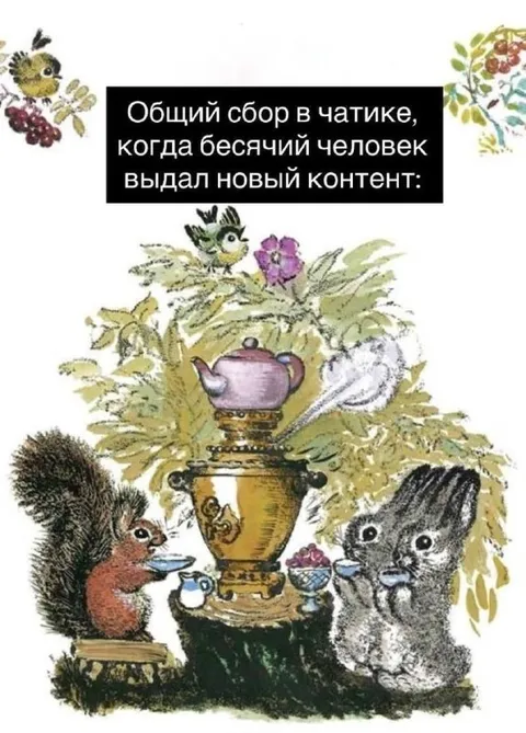 Общий сбор белочек у самовара