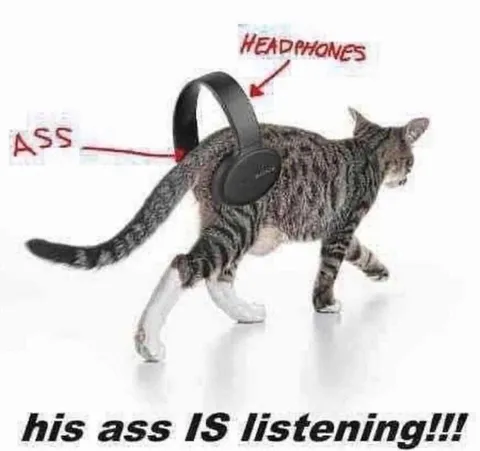 Cat's Ass Is Listening