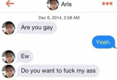 Are You Gay? Chat Screenshot