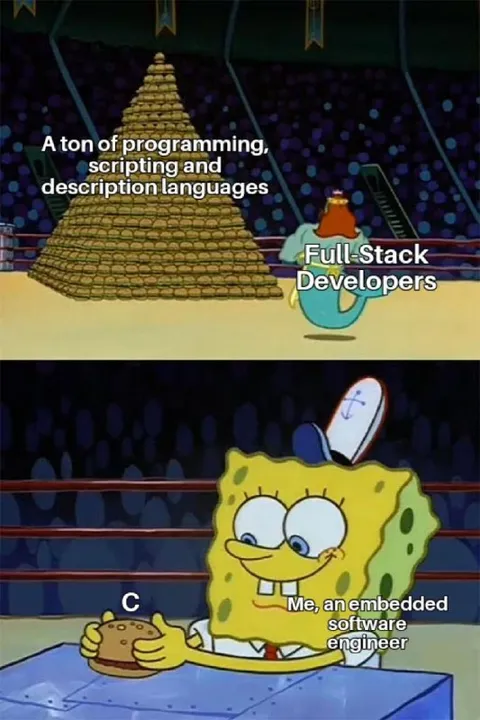 Embedded Engineer Loves C