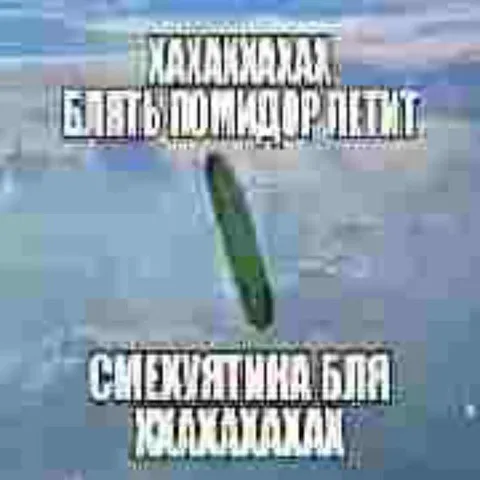 Помидор рвётся в туалете