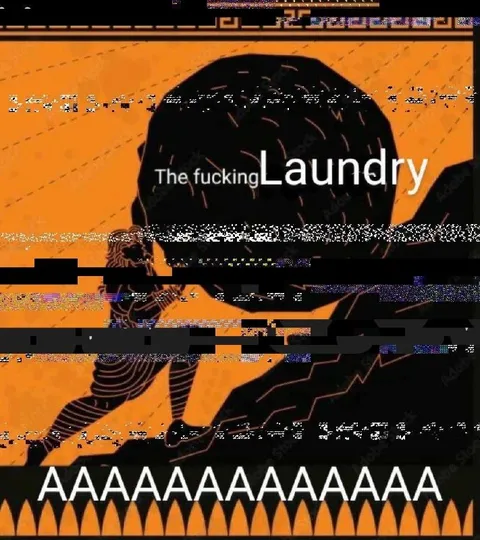 The Fucking Laundry