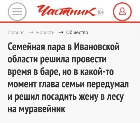 Муж посадил жену на муравейник