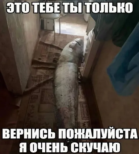 Ковёр просит вернуться