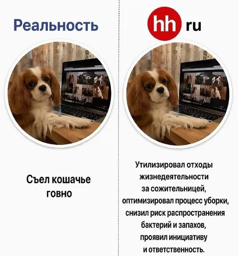 Реальность и hh.ru