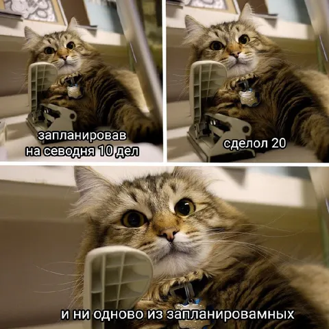 Запланировал десять дел