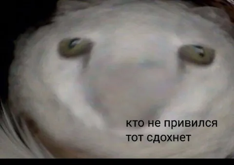 Кто не привился тот сдохнет