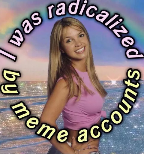 I Was Radicalized by Meme Accounts