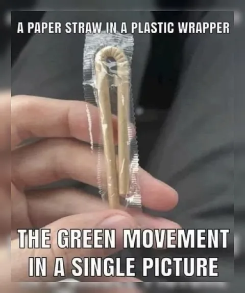 Paper Straw in Plastic Wrapper