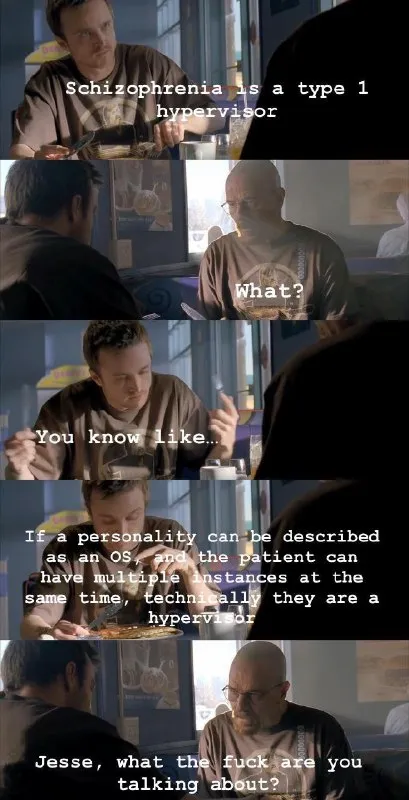 Jesse Explains Schizophrenia as Hypervisor