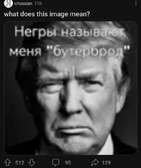 Негры называют меня бутербродом
