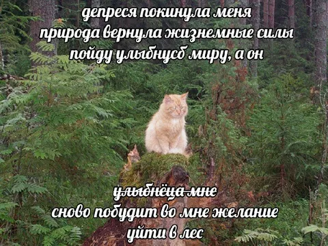 Природа вернула силы