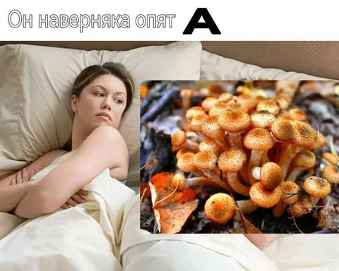 Он наверняка опять с грибами