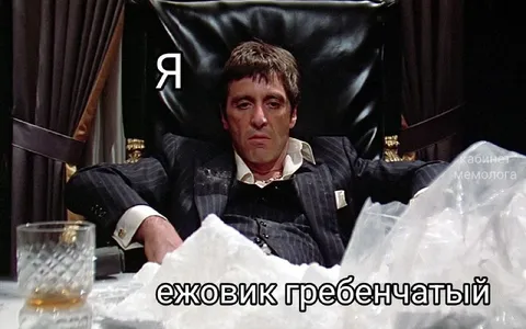 Я — ежовик гребенчатый