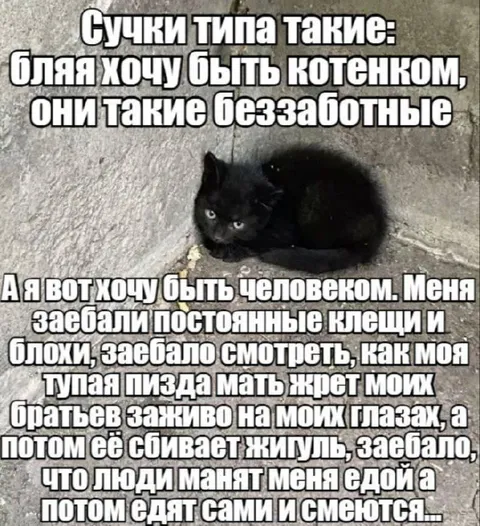 Котёнок хочет быть человеком