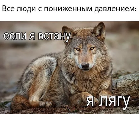Если я встану, я лягу