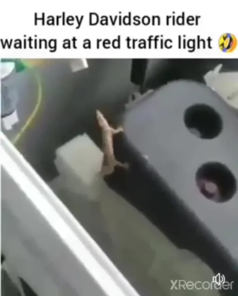 Harley Rider at a Red Light