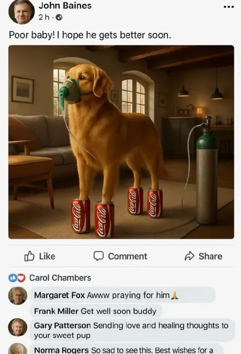 Poor Baby Coca-Cola Dog