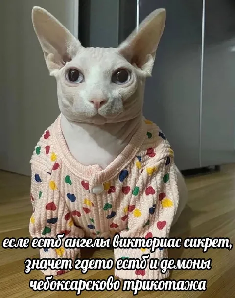 Демоны чебоксарского трикотажа