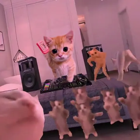 Кот-диджей и танцующие котята