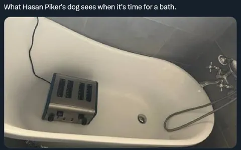 Hasan Piker's Dog Sees a Bath