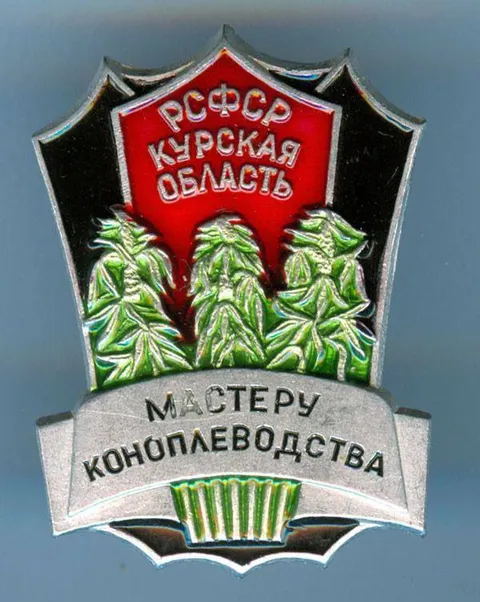 Мастеру коноплеводства Курской области