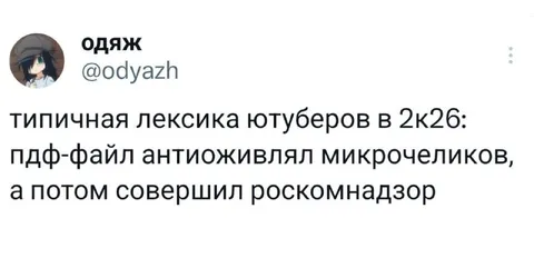 Типичная лексика ютуберов в 2к26