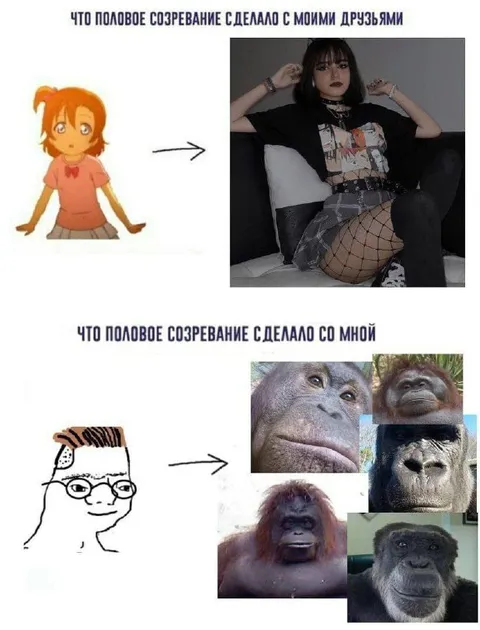 Что половое созревание сделало с друзьями