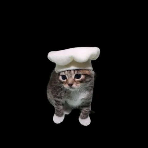 Кот-повар в колпаке