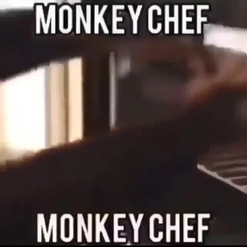 Monkey Chef Serves Burgers