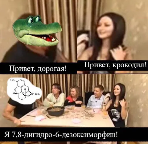 Привет, крокодил!