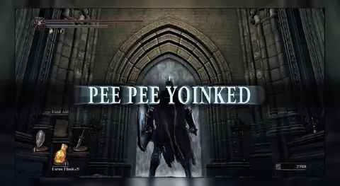 PEE PEE YOINKED Bloodborne