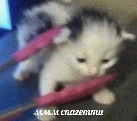 Ммм спагетти котёнок