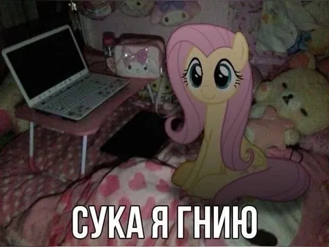 Сука я гнипо
