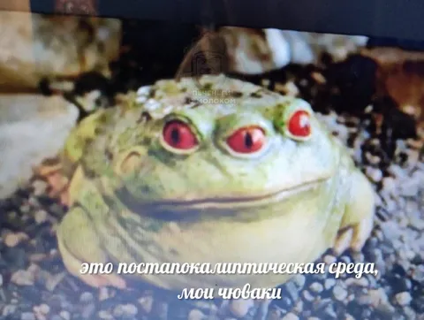 Постапокалиптическая среда, мои чуваки
