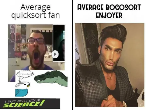 Average Bogosort Enjoyer