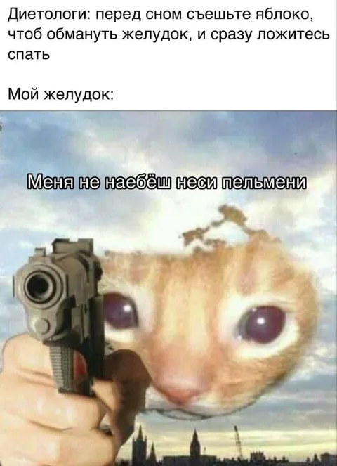 Желудок требует пельмени