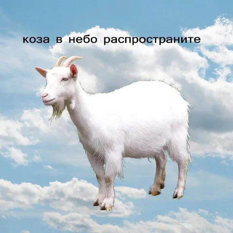 Коза в небо распространите