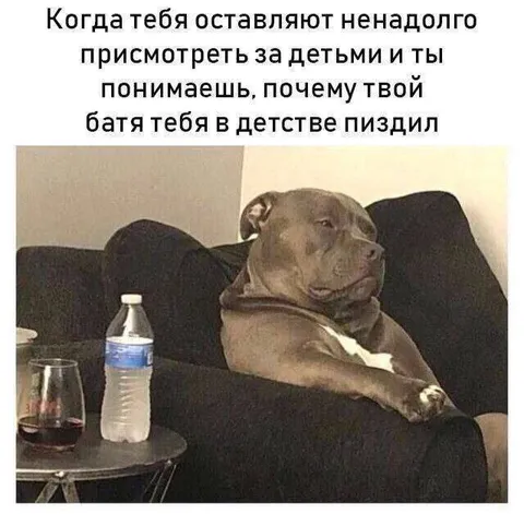 Собака понял, почему отец пил