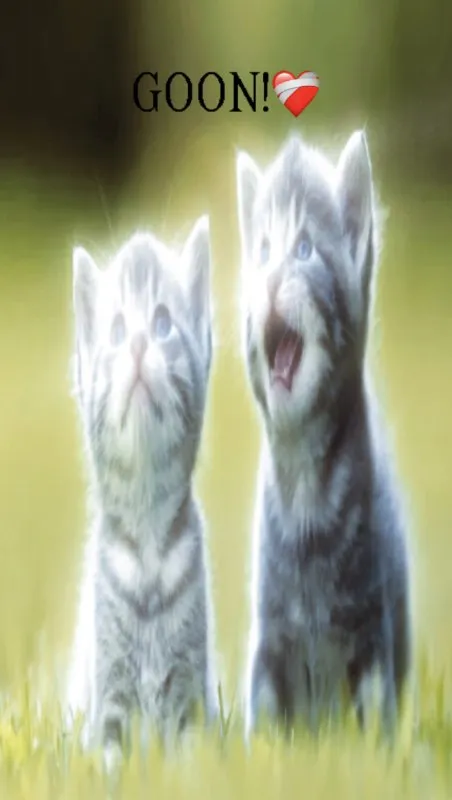 Goon Kittens in Love