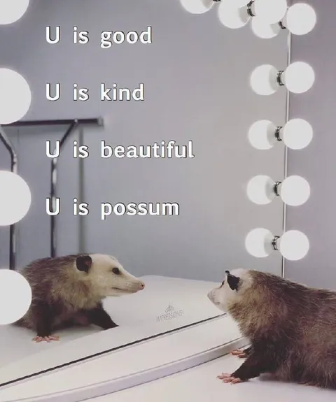 U Is Possum