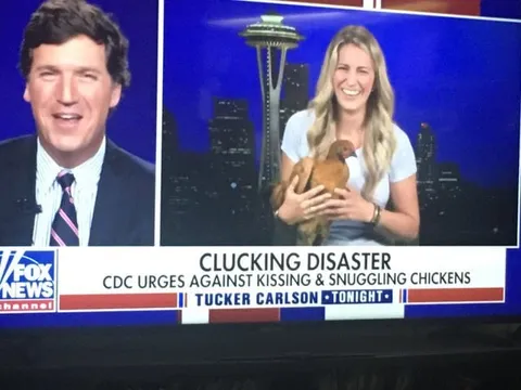 Clucking Disaster Chicken Segment