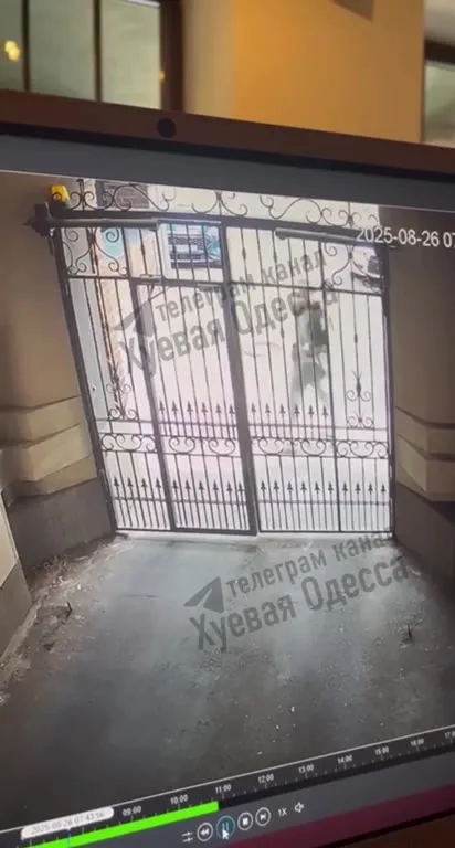 Собаки открывают ворота