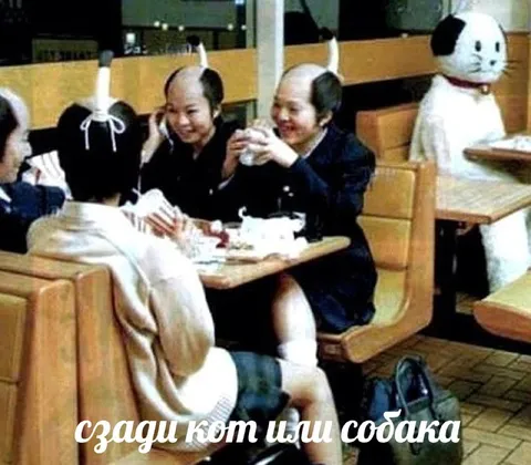Зади кот или собака