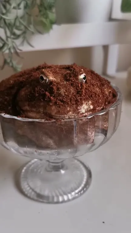 Жаба в миске с землёй