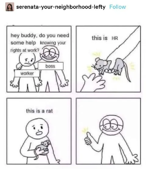 This Is HR Rat Joke