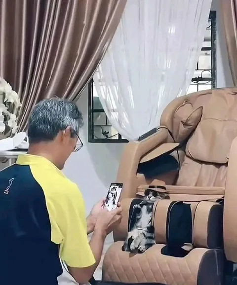 Собака в массажном кресле