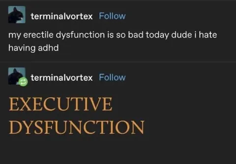 Executive Dysfunction Meme