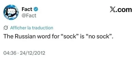 Russian Word for Sock